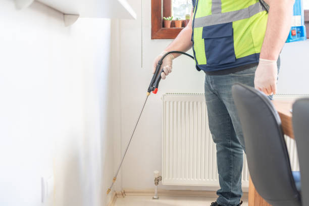 Best Local Pest Control Services  in Swoyersville, PA