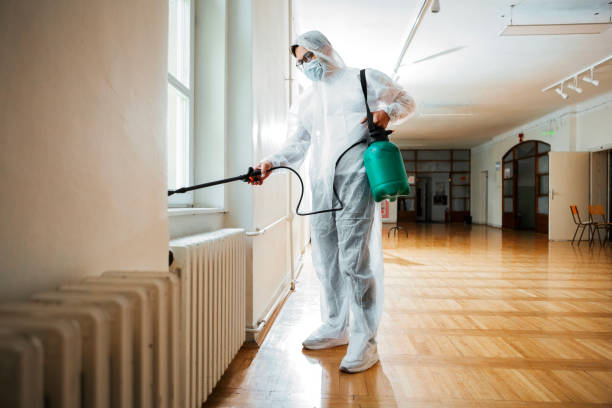 Flea Control Services in Swoyersville, PA